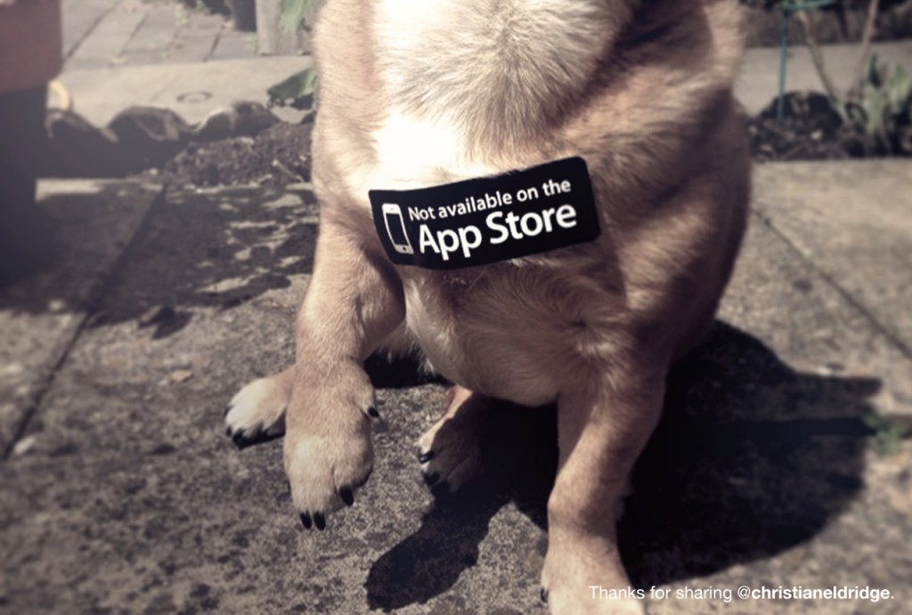 not-on-appstore-dog